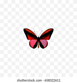 Realistic Agrias Claudina Element. Vector Illustration Of Realistic Callicore Cynosura Isolated On Clean Background. Can Be Used As Butterfly, Red And Cynosura Symbols.