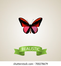 Realistic Agrias Claudina Element. Vector Illustration Of Realistic Callicore Cynosura Isolated On Clean Background. Can Be Used As Butterfly, Red And Cynosura Symbols.