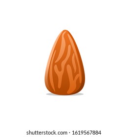 Realistic almond nut in white background vector design illustration. Sun flower seed