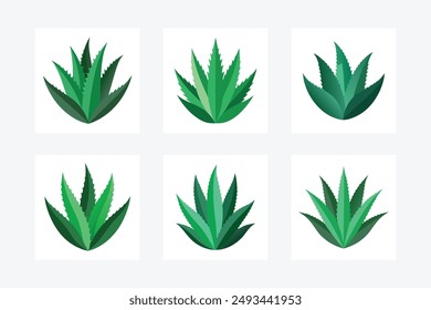 realistic aloe leaves vector illustration