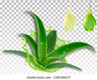 Realistische Aloe Vera, Splash und ein Tropfen Saft, Vektorgrafik