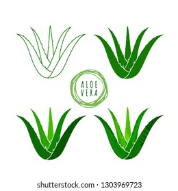 Realistic aloe vera vector illustration on white background