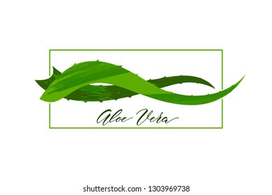Realistic aloe vera vector illustration on white background