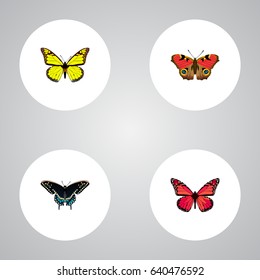 Realistic American Painted Lady, Archippus, Morpho Hecuba And Other Vector Elements. Set Of Beauty Realistic Symbols Also Includes Blue, Monarch, Pink Objects.