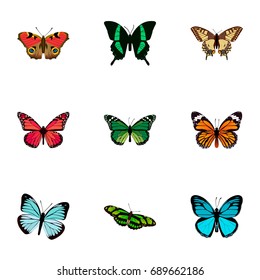 Realistic American Painted Lady, Birdwing, Azure Peacock And Other Vector Elements. Set Of Beauty Realistic Symbols Also Includes Tiger, Monarch, Peacock Objects.