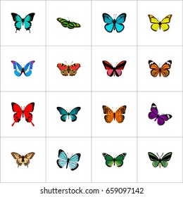 Realistic American Painted Lady, Butterfly, Tiger Swallowtail And Other Vector Elements. Set Of Butterfly Realistic Symbols Also Includes Bluewing, Swallowtail, Butterfly Objects.