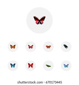 Realistic American Painted Lady, Common Blue, Hairstreak And Other Vector Elements. Set Of Beauty Realistic Symbols Also Includes Orange, Green, Cypris Objects.