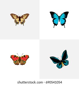 Realistic American Painted Lady, Demophoon, Papilio Ulysses And Other Vector Elements. Set Of Butterfly Realistic Symbols Also Includes Bluewing, Brown, Swallowtail Objects.