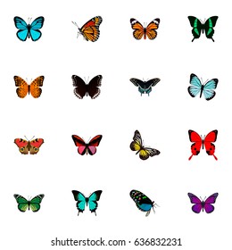 Realistic American Painted Lady, Lexias, Summer Insect And Other Vector Elements. Set Of Butterfly Realistic Symbols Also Includes Butterfly, Julia, Red Objects.