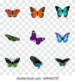 Realistic American Painted Lady, Morpho Hecuba, Bluewing And Other Vector Elements. Set Of Beauty Realistic Symbols Also Includes Fly, Orange, Beautiful Objects.