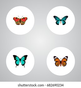 Realistic American Painted Lady, Pipevine, Copper And Other Vector Elements. Set Of Beauty Realistic Symbols Also Includes Monarch, Orange, American Objects.