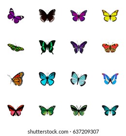 Realistic American Painted Lady, Purple Monarch, Birdwing And Other Vector Elements. Set Of Butterfly Realistic Symbols Also Includes Butterfly, Blue, Red Objects.