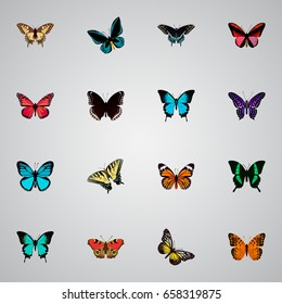 Realistic American Painted Lady, Spicebush, Callicore Cynosura And Other Vector Elements. Set Of Butterfly Realistic Symbols Also Includes Red, Pink, Peacock Objects.