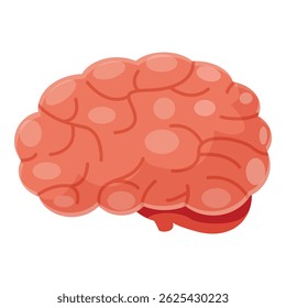 Realistic anatomical illustration of a healthy human brain, symbolizing intelligence, creativity, and cognitive function