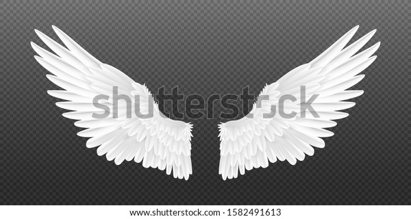 Realistic angel wings. White
isolated pair of falcon wings, 3D bird wings design template.
Vector concept white cute feathered wing animal on a transparent
background
