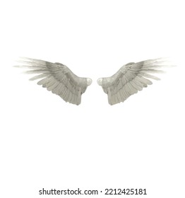 realistic angle wings isolated on white background, wings voctor