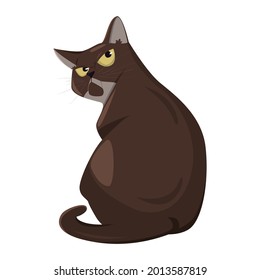 Realistic angry black cat on a white background - Vector illustration