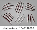 Realistic animal claw scratch. Wild animal or monster ripped rough holes, beast claws scratch mark. Claws scratches vector illustrations. Frightening laceration or damage on paper or texture