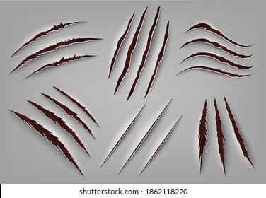 Realistic animal claw scratch. Wild animal or monster ripped rough holes, beast claws scratch mark. Claws scratches vector illustrations. Frightening laceration or damage on paper or texture