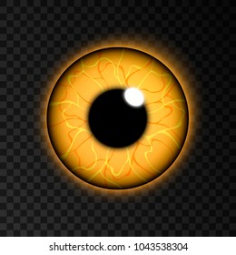 Realistic animal eye ball. Isolated on black transparent background. Vector illustration, eps 10.