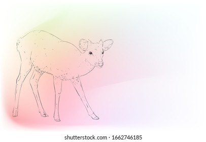 Realistic animal illustrations: iridescent background: a fawn standing up