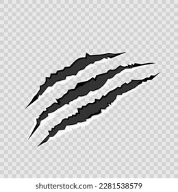 Realistic animal scratches vector. Illustration of rips, sharp claws of wild animals with transparent background