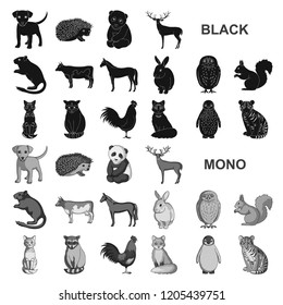Realistic animals black icons in set collection for design. Wild and domestic animals vector symbol stock web illustration.