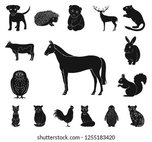 Realistic animals black icons in set collection for design. Wild and domestic animals vector symbol stock web illustration.