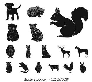 Realistic animals black icons in set collection for design. Wild and domestic animals vector symbol stock web illustration.