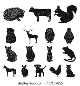 Realistic animals black icons in set collection for design. Wild and domestic animals vector symbol stock web illustration.
