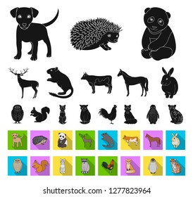 Realistic animals black,flat icons in set collection for design. Wild and domestic animals vector symbol stock web illustration.