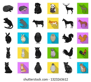 Realistic animals black,flat icons in set collection for design. Wild and domestic animals vector symbol stock web illustration.