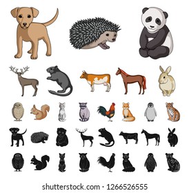 Realistic animals cartoon, black icons in set collection for design. Wild and domestic animals vector symbol stock web illustration.