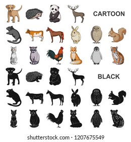 Realistic animals cartoon icons in set collection for design. Wild and domestic animals vector symbol stock web illustration.