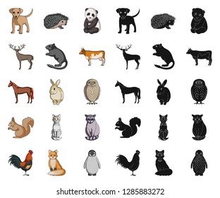 Realistic animals cartoon,black icons in set collection for design. Wild and domestic animals vector symbol stock web illustration.