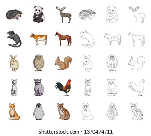Realistic animals cartoon,outline icons in set collection for design. Wild and domestic animals vector symbol stock web illustration.