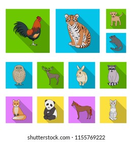 Realistic animals flat icons in set collection for design. Wild and domestic animals vector symbol stock web illustration.