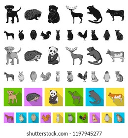 Realistic animals flat icons in set collection for design. Wild and domestic animals vector symbol stock web illustration.
