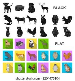 Realistic animals flat icons in set collection for design. Wild and domestic animals vector symbol stock web illustration.