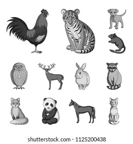 Realistic animals monochrome icons in set collection for design. Wild and domestic animals vector symbol stock web illustration.