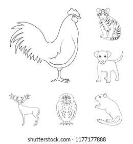 Realistic animals outline icons in set collection for design. Wild and domestic animals vector symbol stock web illustration.