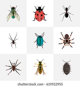 Realistic Ant, Bug, Housefly And Other Vector Elements. Set Of Animal Realistic Symbols Also Includes Ant, Jewel, Tarantula Objects.