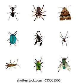 Realistic Ant, Butterfly, Insect And Other Vector Elements. Set Of Animal Realistic Symbols Also Includes Locust, Arachnid, Butterfly Objects.