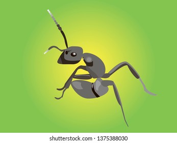 Realistic Ant. Can Be Used As Insect Symbols