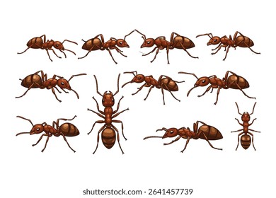 "Realistic Ant Vector Illustrations – Detailed Insect Icons in Various Poses and Angles"

