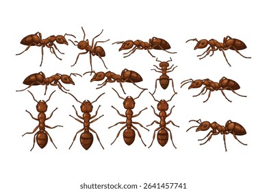 "Realistic Ant Vector Illustrations – Detailed Insect Icons in Various Poses and Angles"

