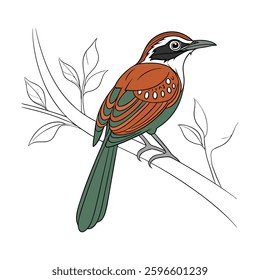 Realistic Antthrush Bird Illustration. Concept of Bird Design.