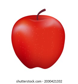 realistic apple fruit re-sizable vector art illustration gradient mesh