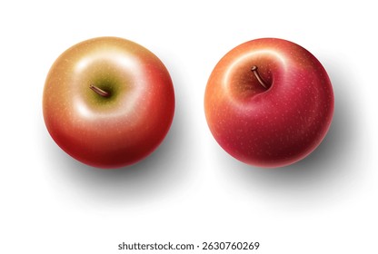 frutas de maçã realista isolado no fundo branco vista superior design modelo vetor ilustração.delicioso conceito de frutas clip art design.