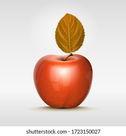 Realistic apple. Vector apple with a leaf. Ripe fruit. Natural food.